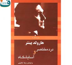 هارولد پينتر 2 درد مختصر و آسايشگاه